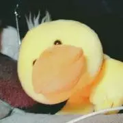 みはしの画像