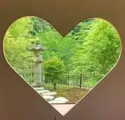 areareの画像