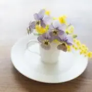 flowerの画像