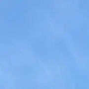 ハナの画像