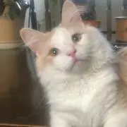 ☆栞☆の画像