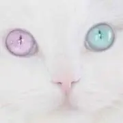 たろう＊の画像