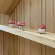 きのきのこの画像