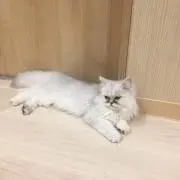 あまんだの画像
