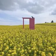 優香の画像