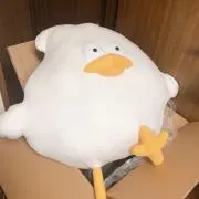 しらたまの画像