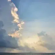 Rossoの画像