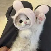 mの画像