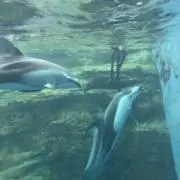 海の画像