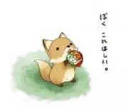 ゆきの画像