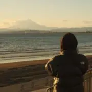 まの画像