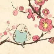かろかの画像