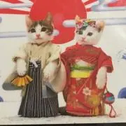 野風