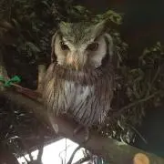 R&Kの画像