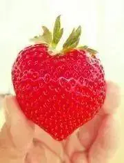 RINの画像