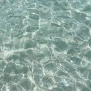 とろいでんの画像