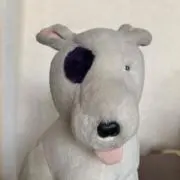 トイくんの画像