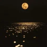 moonam.の画像