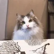 まいくの画像