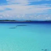 No Nameの画像
