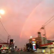 幸せを運ぶジョニーの画像
