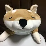 カムイの画像