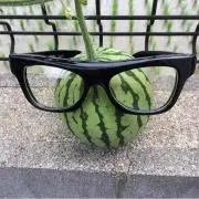 スイカ（プロフ必読）