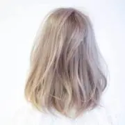 ぽんの画像