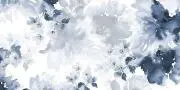 toyo