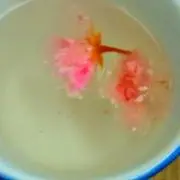 はちこの画像