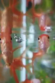 みさみの画像