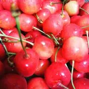 crema*の画像