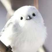 そらばあば