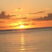 白玉だんごの画像