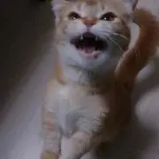 ずー