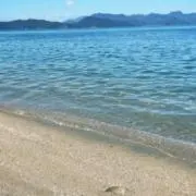 ぱんの画像