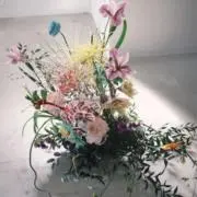 あめの画像
