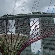 愛