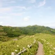 amiの画像