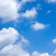 くみくみの画像