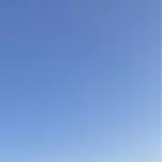 おかかの画像