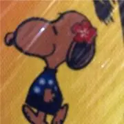 いっこうの画像
