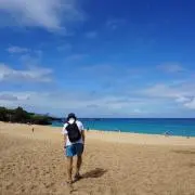 ぼんの画像