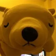 ARPKの画像