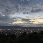 陽