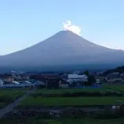 ポチ
