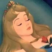 ももちゃんの画像