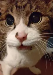 超断捨離　プロフ必読お願いいたします。の画像
