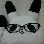 出品再開中★珍獣もきゅら(υ◉ω◉υ)