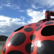 きゃす